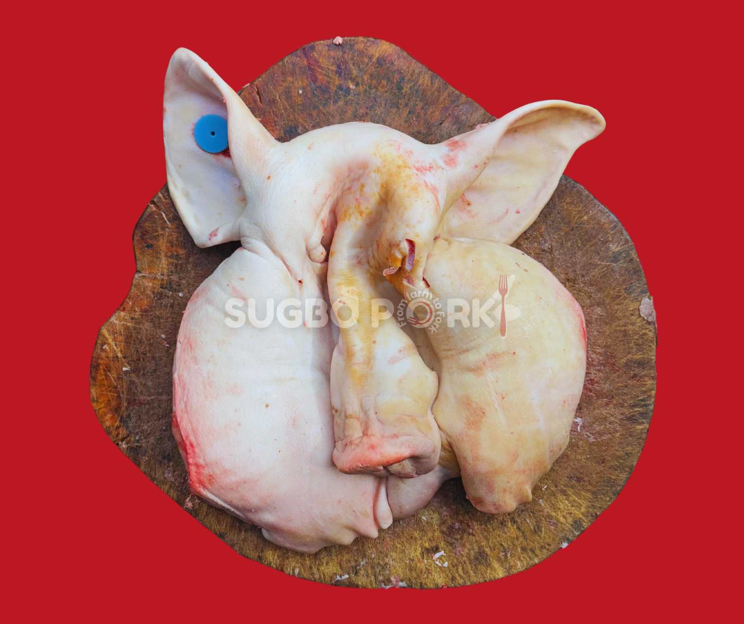 Professional product photography showing whole pork head maskara on wooden cutting board against vibrant red background with Sugbo Pork watermark, traditionally used for Filipino sisig preparation